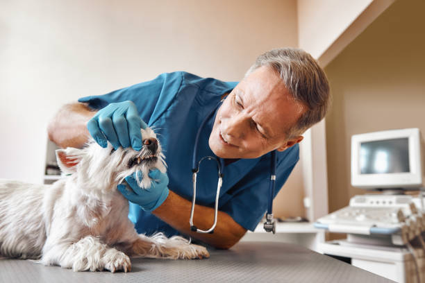 Best Urgent Care for Lost Fillings or Crowns in Kennewick, WA
